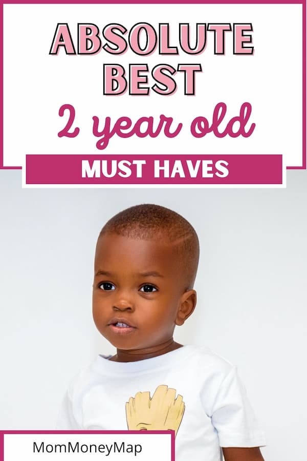 Best 2 Year Old Must Haves (2024) & Essentials for Boys or Girls