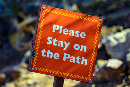 Step-by-step family meeting guide